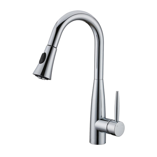 DAVISON Pull-Down Dual Spray Kitchen Faucet – F23113