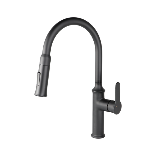 VUITTON Pull-down Dual Spray Kitchen Faucet - F23900