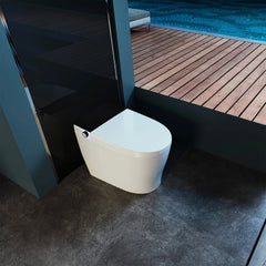 CANARY Integrated Smart Toilet - SMT-DQ100