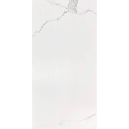 Bianco Nuovo Matt Porcelain Tile (FLR) – Matte Finish, Floor & Wall – $3.99/Sq. Ft.