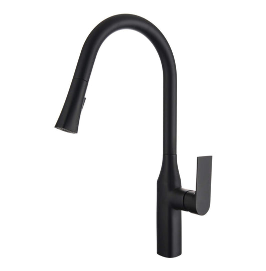 TIMELYSS Pull-Down Dual Spray Kitchen Faucet – F23134