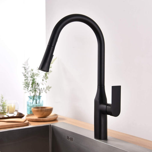 TIMELYSS Pull-Down Dual Spray Kitchen Faucet – F23134