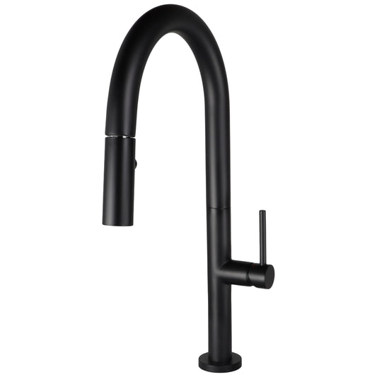 ELEGANTE Pull-Down Dual Spray Kitchen Faucet – F23304