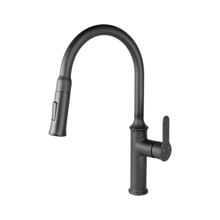 VUITTON Pull-down Dual Spray Kitchen Faucet - F23900