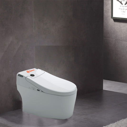 Dureno One Piece SMART Toilet (T0078-1)