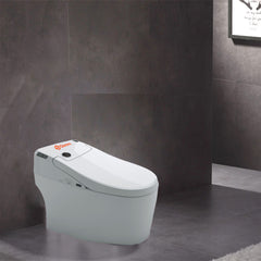 Dureno One Piece SMART Toilet (T0078-1)